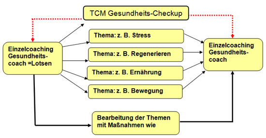 TCM Gesundheits Checkup